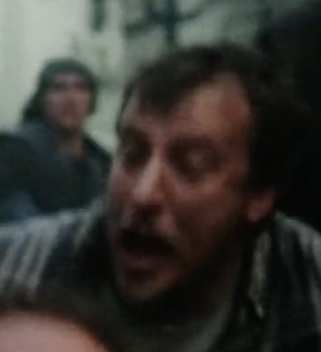 Ryan's Shorts! tweet media