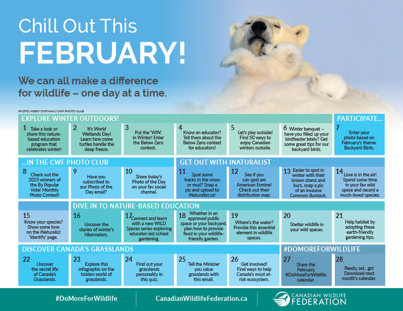 Canadian Wildlife Federation tweet media