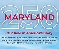 Business Development tweet media