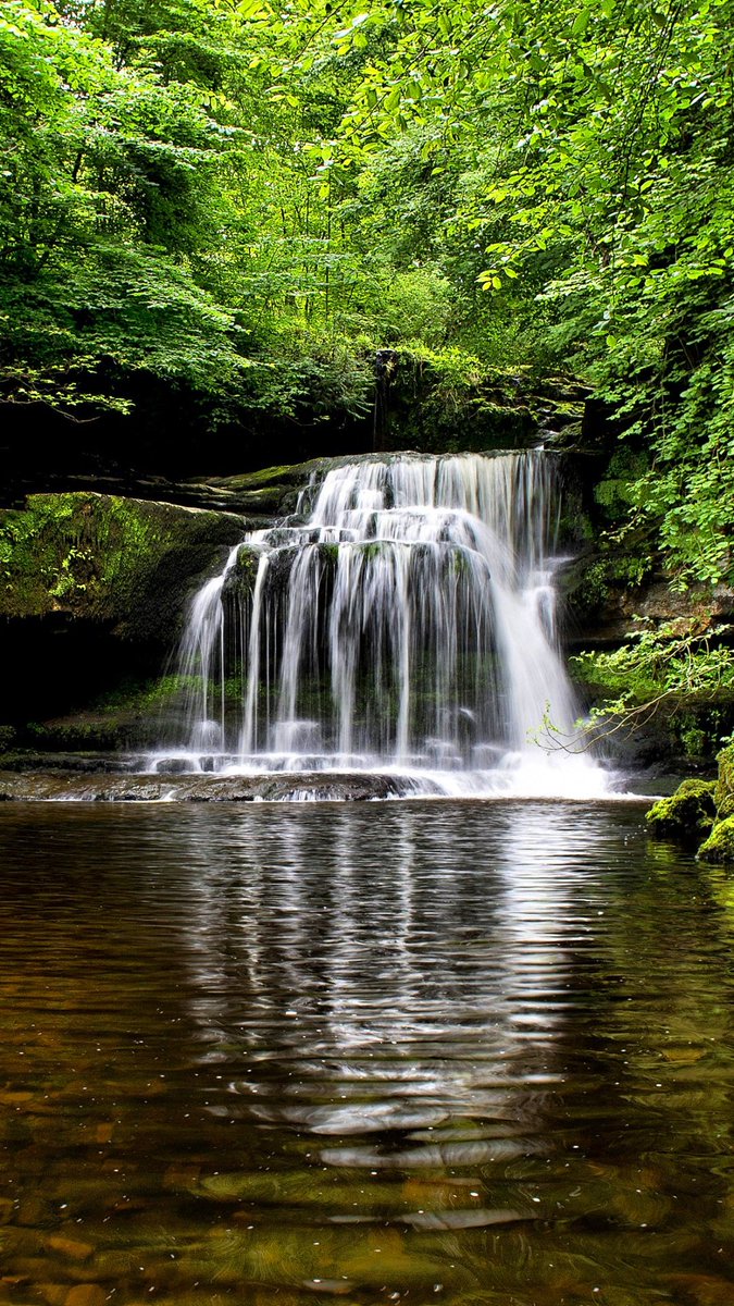 Tina Koskima 🕊️ tweet media