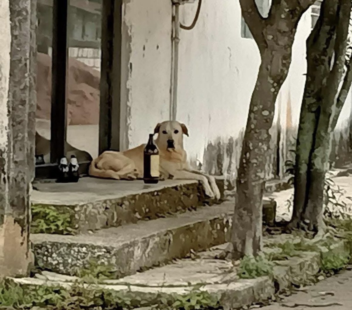 Yo si fuera un Therian: