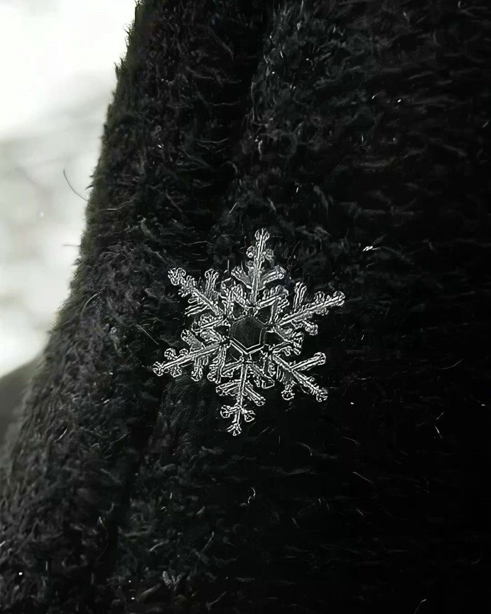 fairyprxncess's tweet photo. snowflake❄️ https://t.co/KN7rklSb67