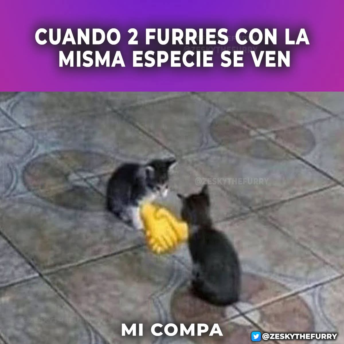 Solo faltan los colmillos del otro xd

HEY AVISO QUE LA VOTACION DE MI TWICH Y KICK SE HA DEFINIDO.

Super Mario 64 excoop dx y Rocket league han ganado, tengan una buena tarde ;3