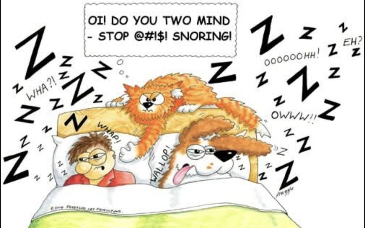 CavalierMatters's tweet photo. Many of us have Cavaliers who snore, and are intolerant to heat. Being overweight can make things worse.
A new study published in PLOS One reports on BOAS across 14 brachycephalic breeds, including Cavaliers.
https://t.co/9tWk2QCTYj
#BOAS #RespiratoryHealth #Brachycephaly https://t.co/Eb4JRl9KnK