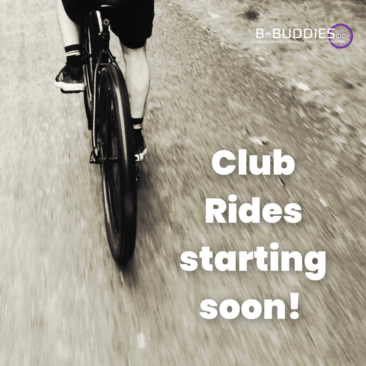 B-BUDDIES CIC tweet media