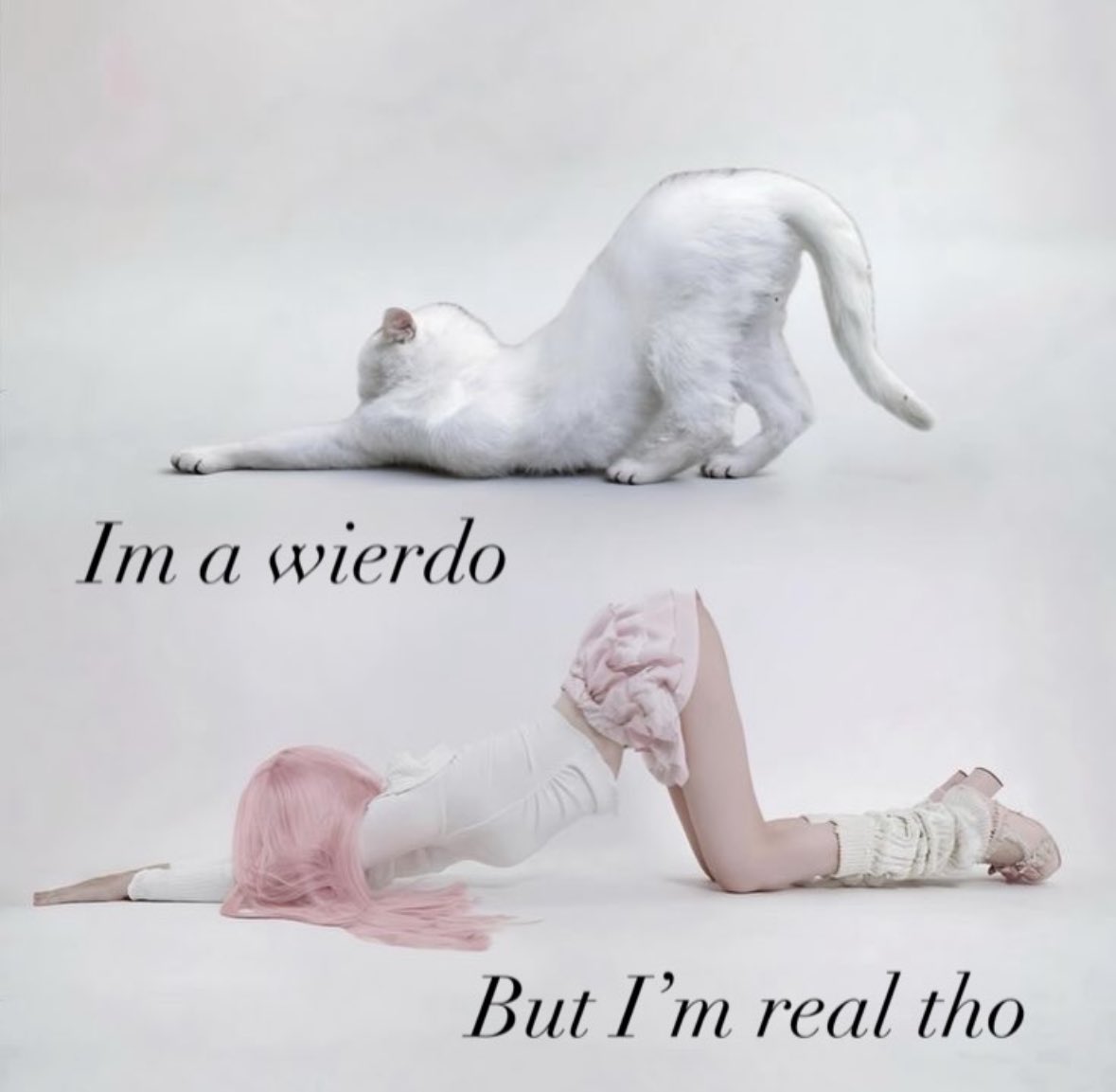 ✧ (@northstardoll) on Twitter photo 