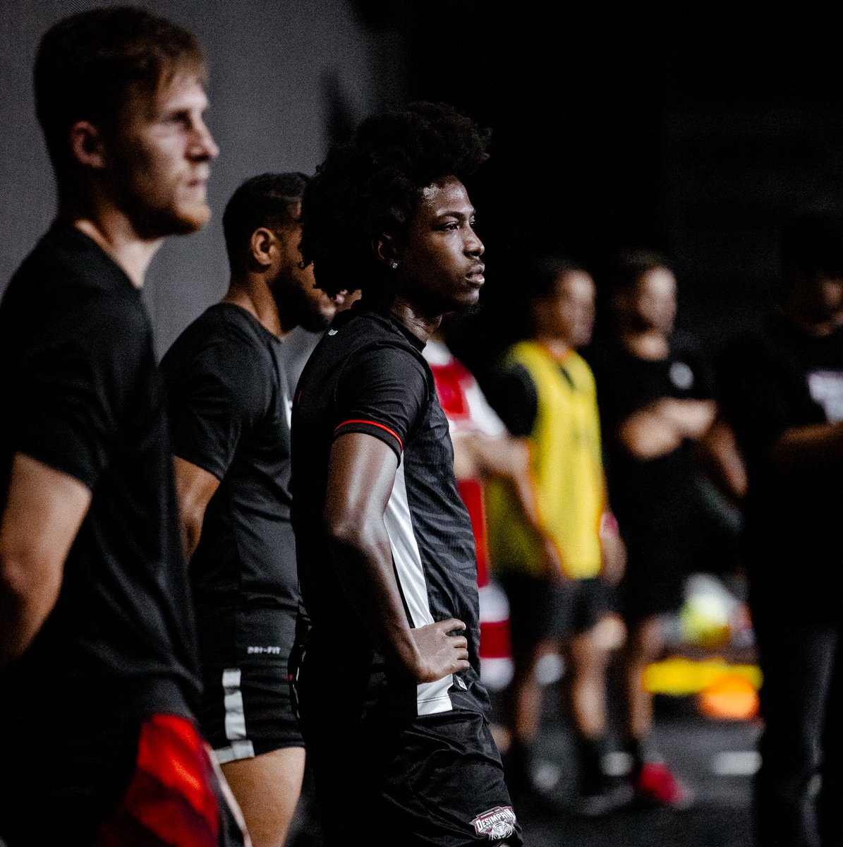 Renato Vicente tweet media