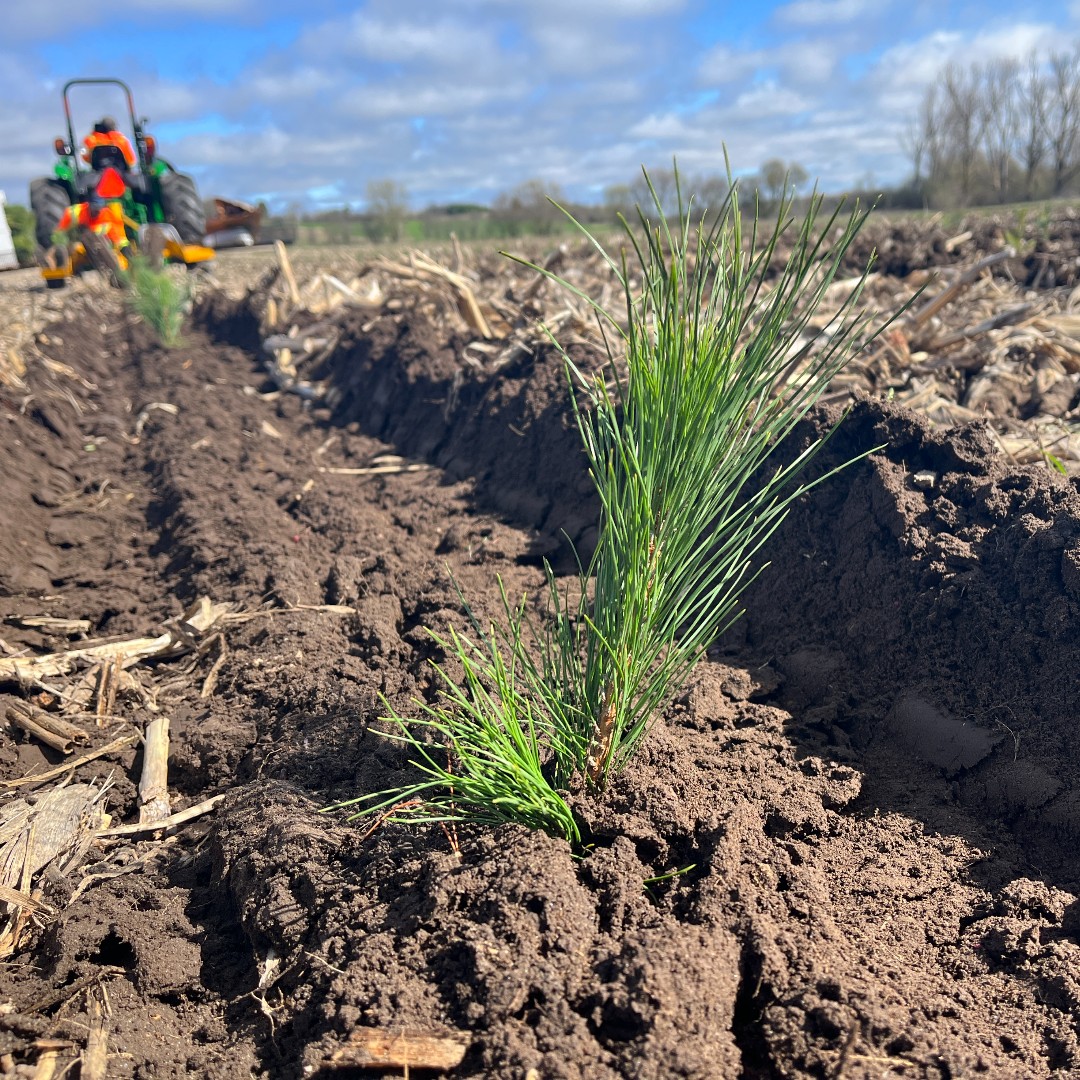 Lake Simcoe CA tweet media