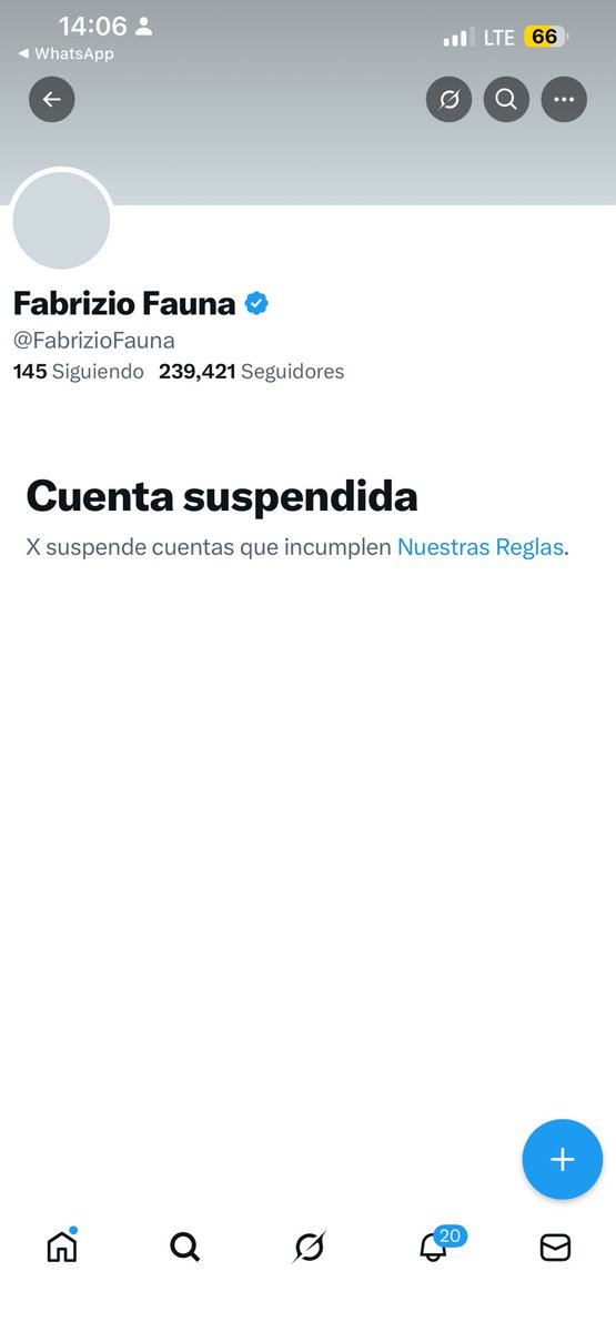 Leoncito PRIME tweet media