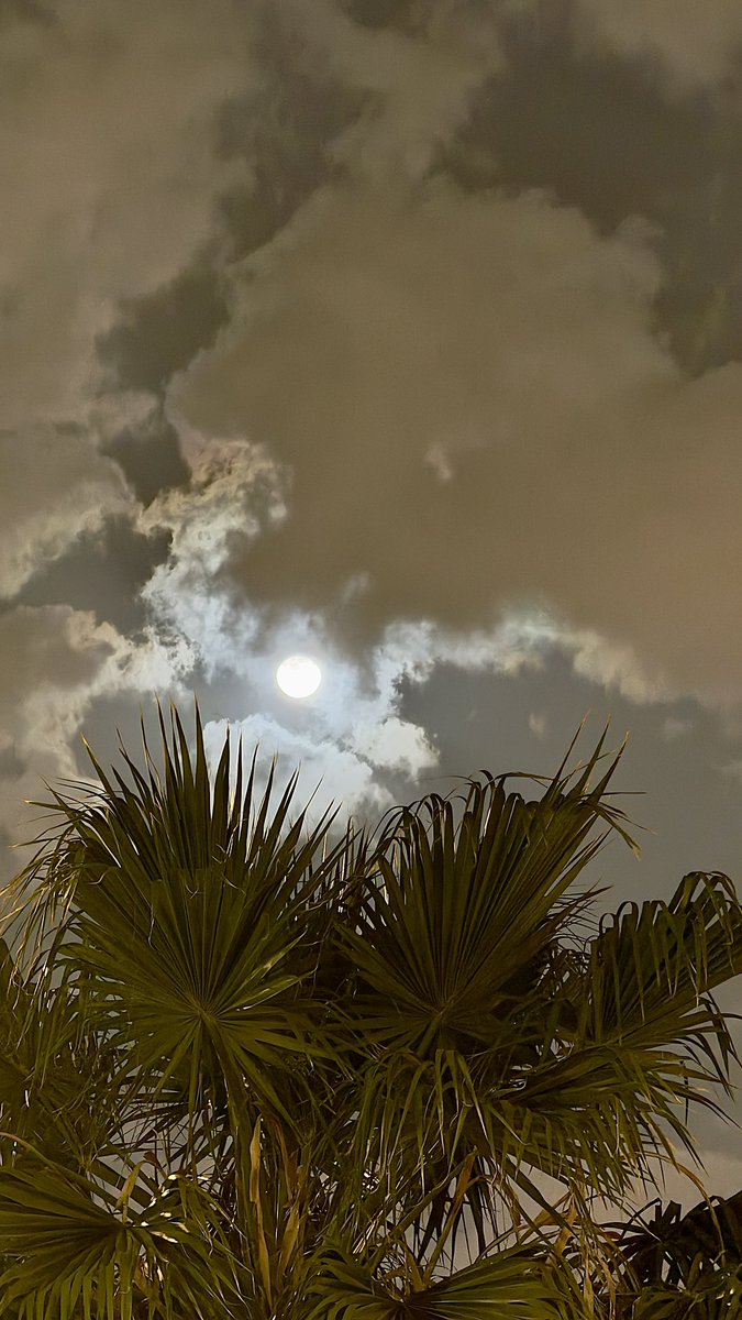 AK (@srads20) on Twitter photo 