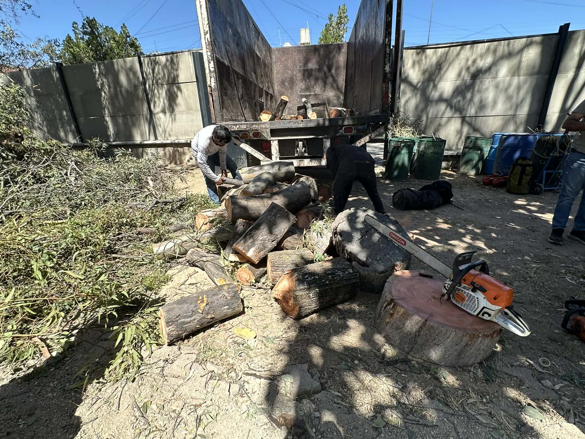 redarbol's tweet photo. PONIENDO EL EJEMPLO. En este momento, personal de Obras Públicas de @ZapopanGob está talando árboles en el parque Villa Fantasía y no traen dictámenes. Exigimos alto total al ecocidio y sanción a los responsables @JuanJoseFrangie , @AmbienteZapopan @ServiciosZap @InspZapopan https://t.co/AzszrVToEM