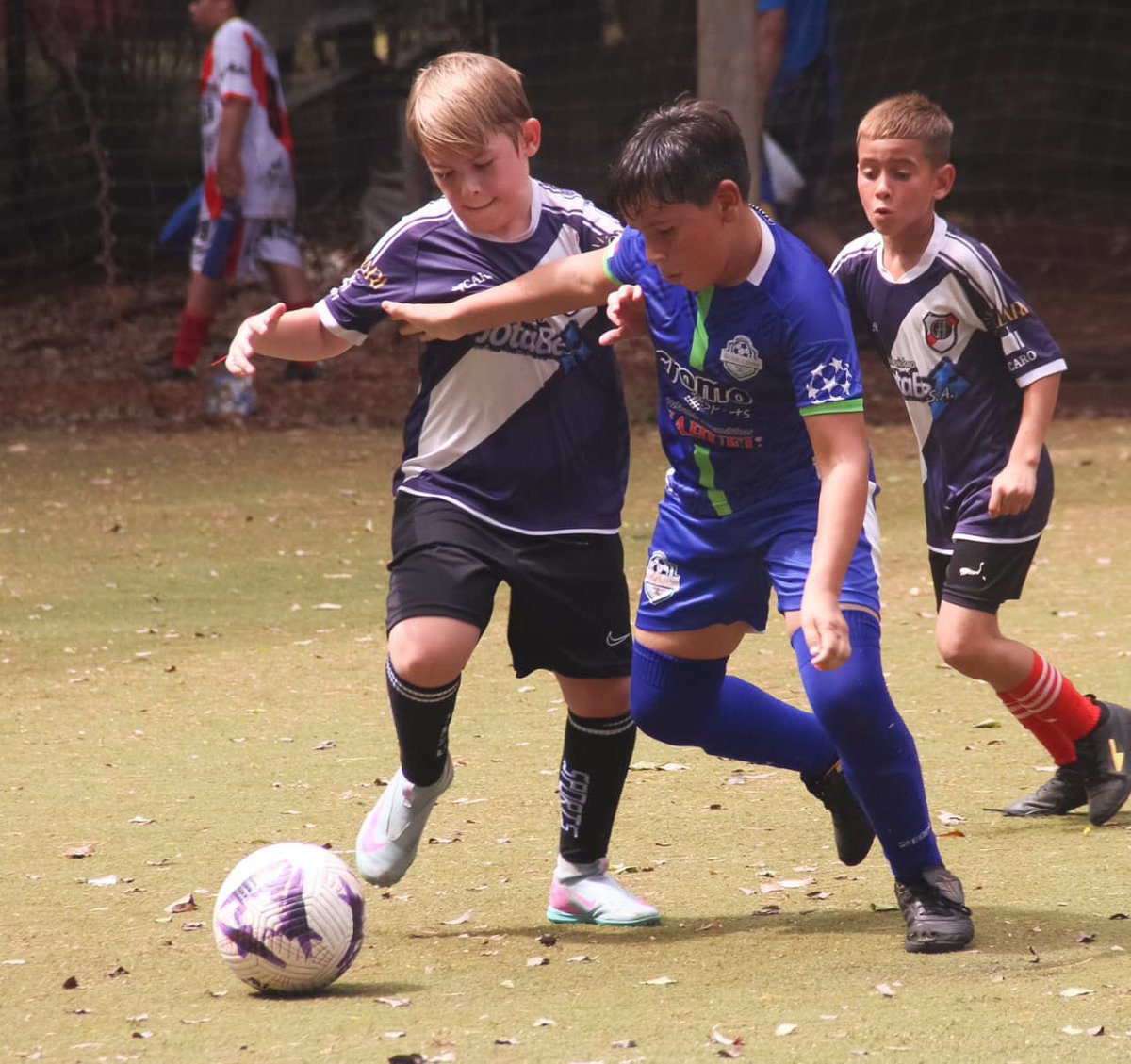 Aníbal Arroyos tweet media