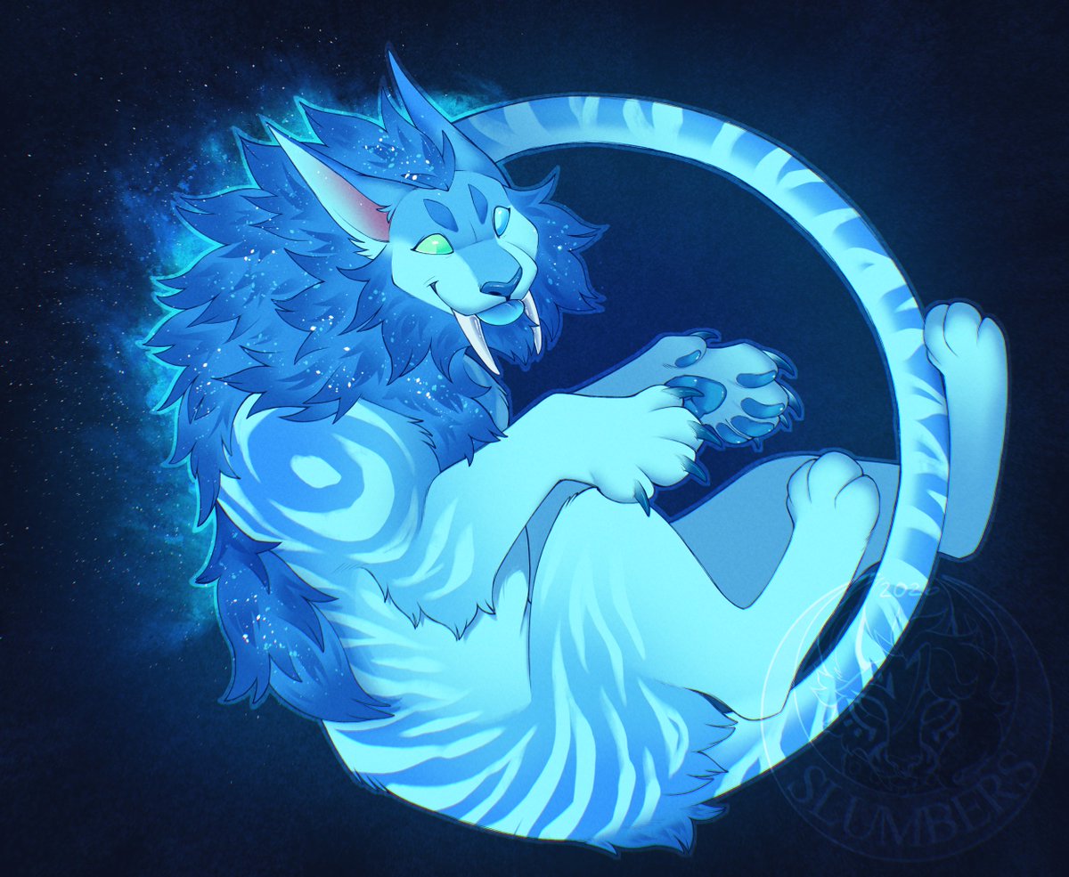 ✦ Slumbers ✦ tweet media