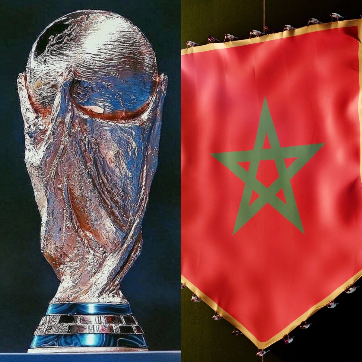 💔🇲🇦 En Marruecos se está haciendo una CACERÍA DE PERROS CALLEJEROS para ‘limpiar’ el país antes del Mundial 2030. Sí, real.

⚠️ Las denuncias hablan de una masacre, que incluye disparos, envenenamientos y hasta caninos quemados vivos, en las ciudades que serán sedes de la Copa