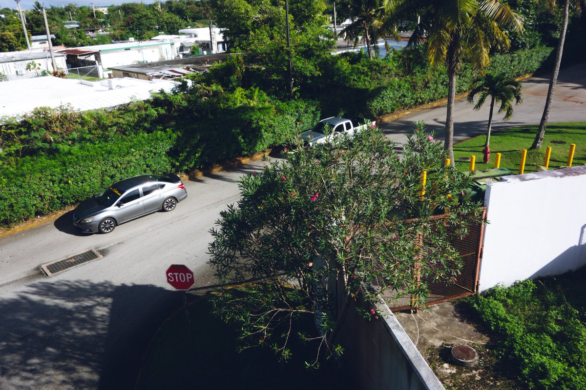 まくらあさみ tweet media