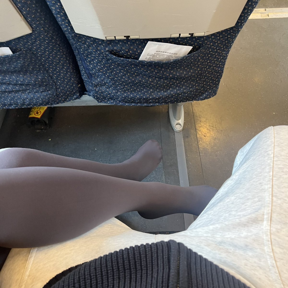 0797 石乐志 tweet media