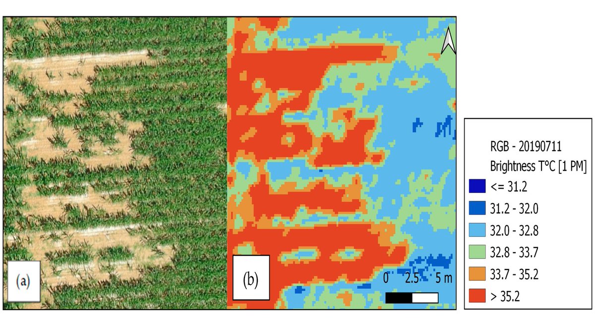 RemoteSens_MDPI's tweet image. ☀️🌿 #Sun/#Shade Separation in #Optical and #Thermal# UAV Images for Assessing the Impact of #Agricultural Practices

✍️ Claire Marais-Sicre et al.
🔗 brnw.ch/21x05HF