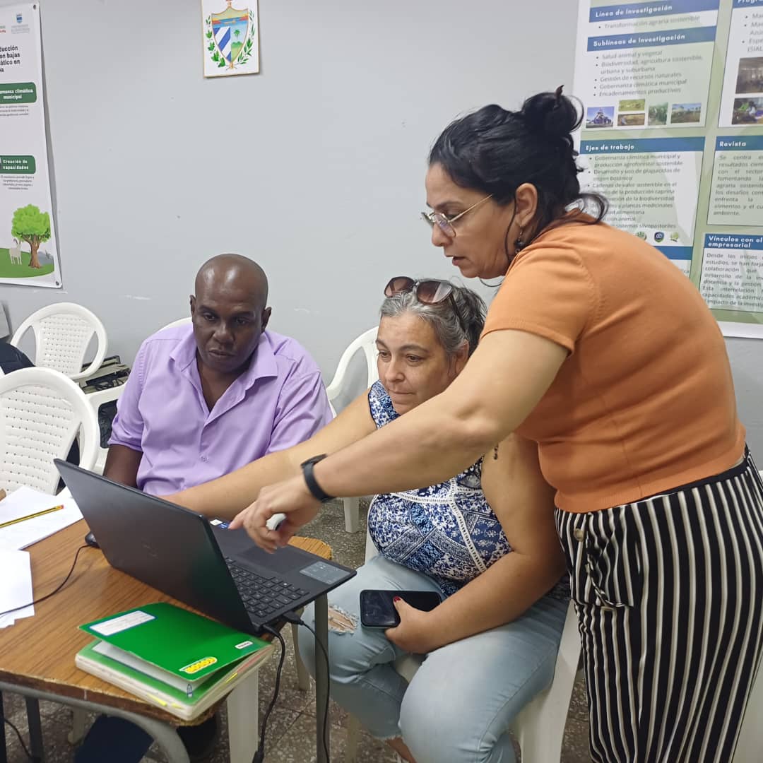 CIENPINOS tweet media