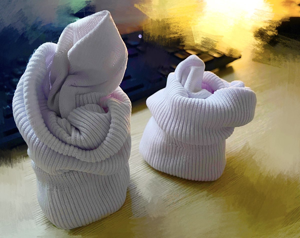 WhiteBunny🤍 tweet media