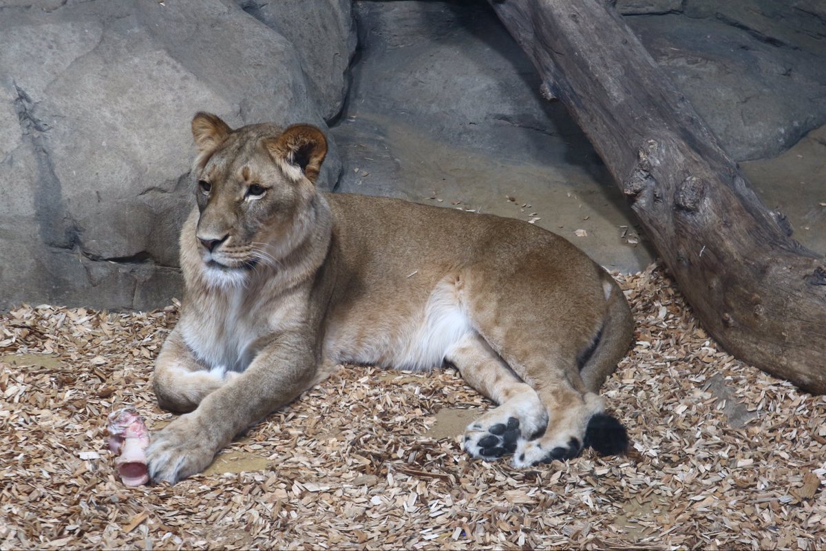 Computer Science at St Cuthbert's High School tweet media