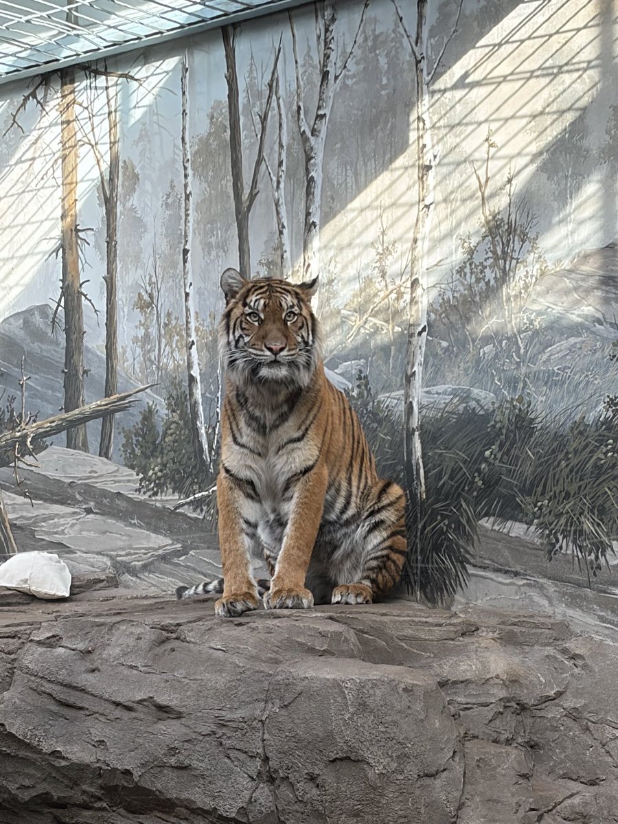 Computer Science at St Cuthbert's High School tweet media