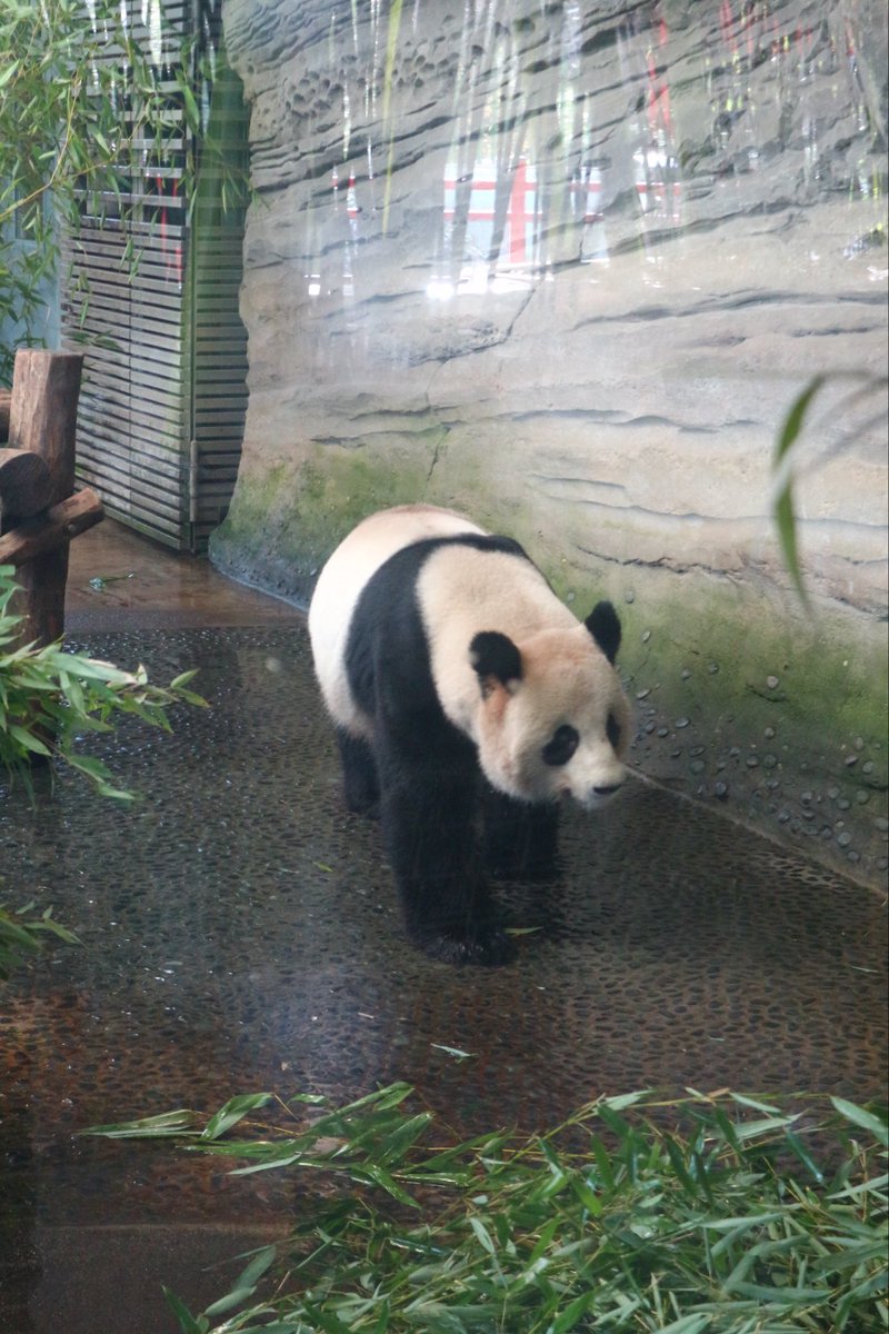 Computer Science at St Cuthbert's High School tweet media