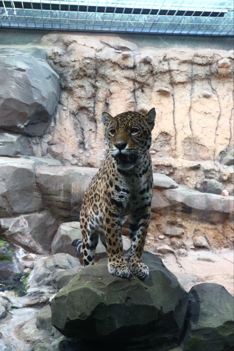 Computer Science at St Cuthbert's High School tweet media