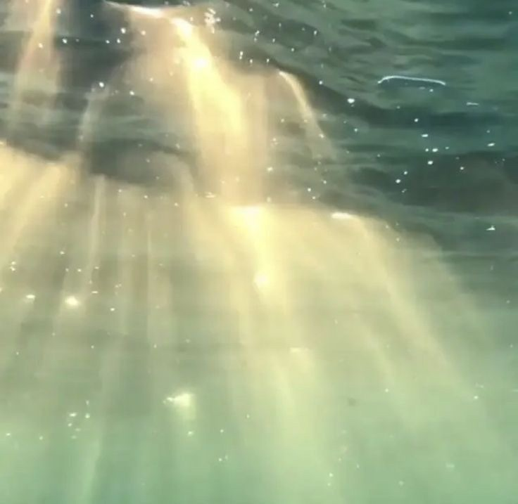 artindetails's tweet image. when light touches or passes into water.