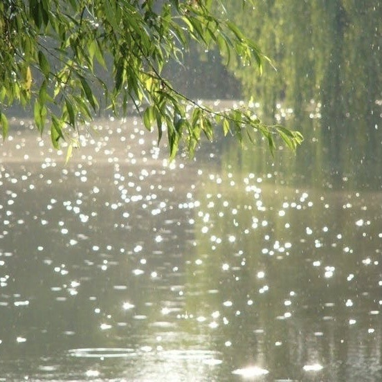 artindetails's tweet image. when light touches or passes into water.