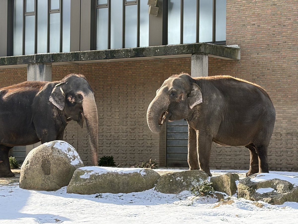Computer Science at St Cuthbert's High School tweet media
