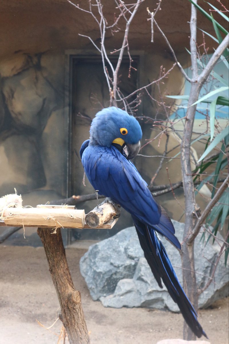 Computer Science at St Cuthbert's High School tweet media