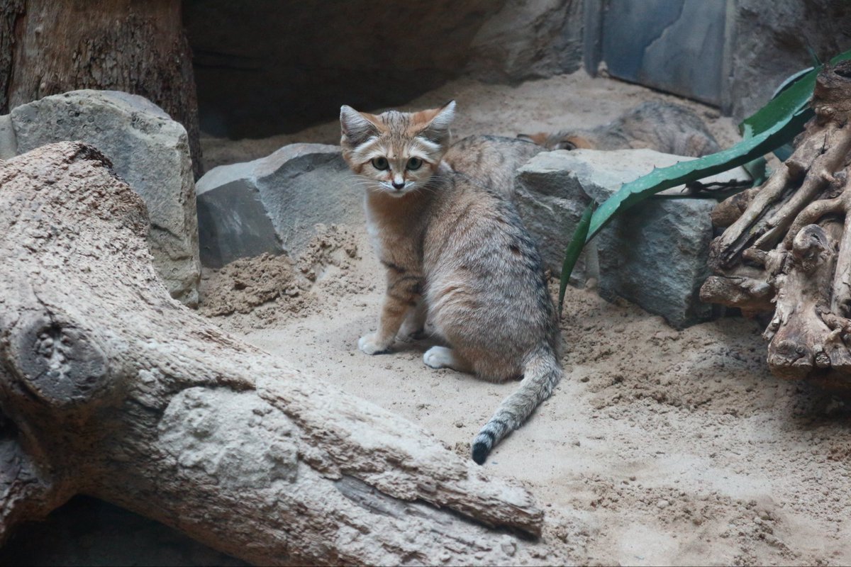 Computer Science at St Cuthbert's High School tweet media