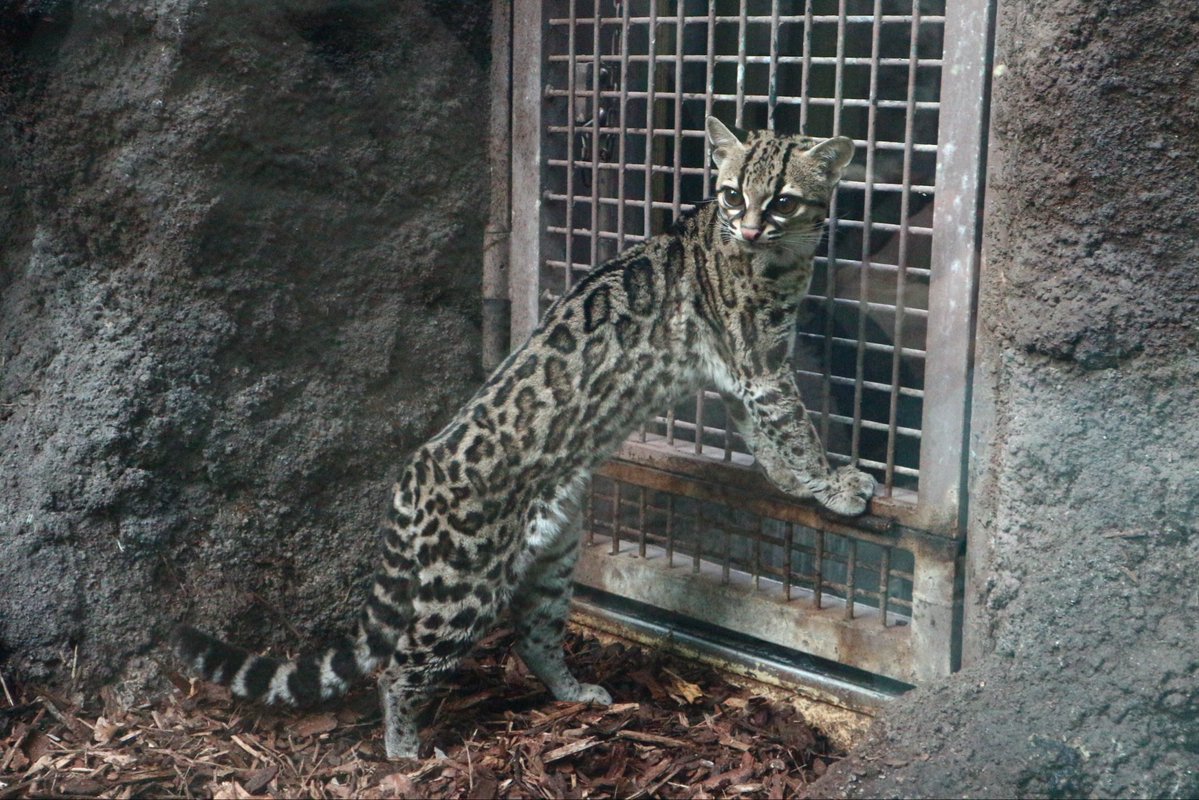 Computer Science at St Cuthbert's High School tweet media