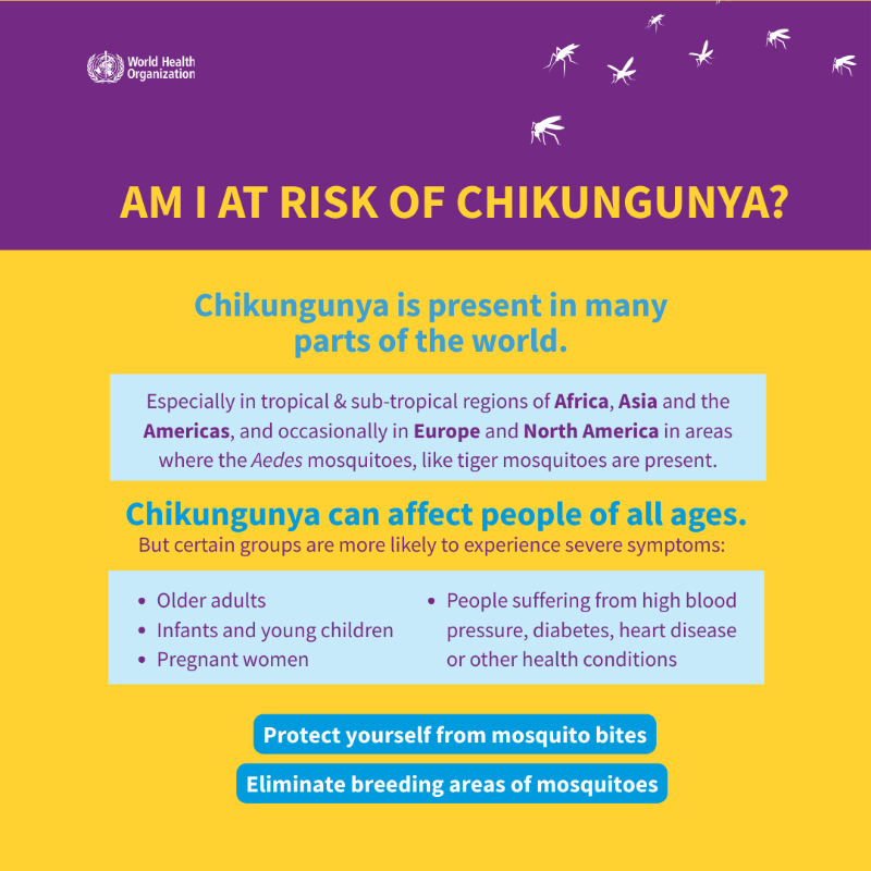 World Health Organization (WHO) tweet media