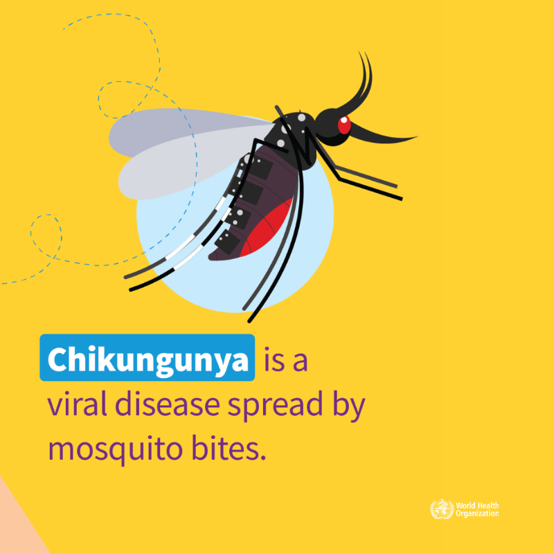 World Health Organization (WHO) tweet media