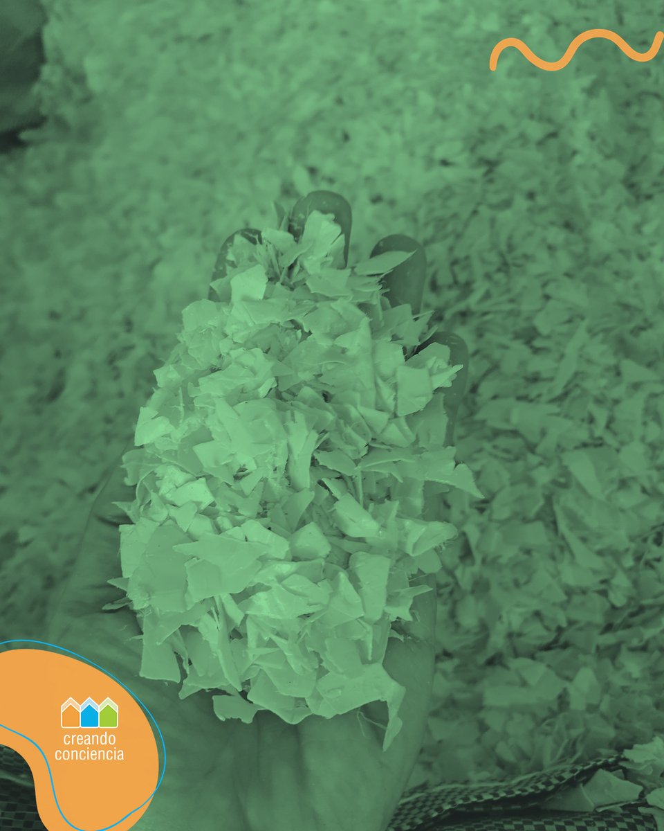 Coop. Creando tweet media