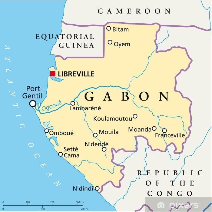Cette décision, controversée par différentes couches de la population gabonaise, vise principalement les plateformes du groupe Meta, l’Internet restant accessible.
📍Certaines organisations gabonaises dénoncent un étouffement de la liberté d’expression et de l’accès à l’info.
2/2