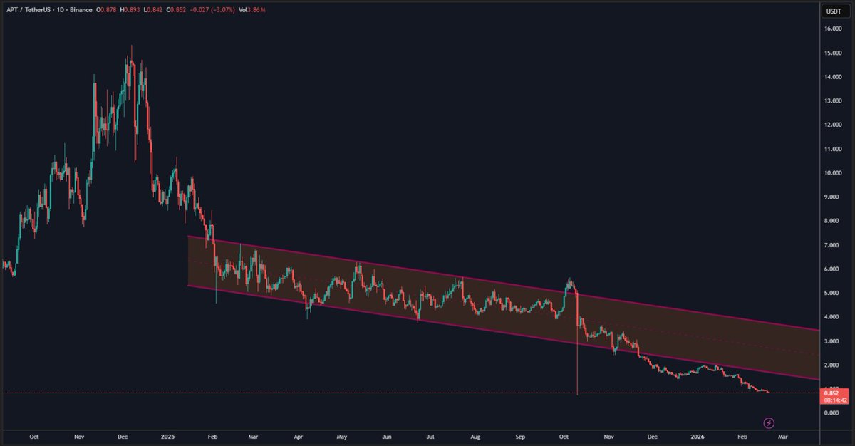 pika2zero tweet media