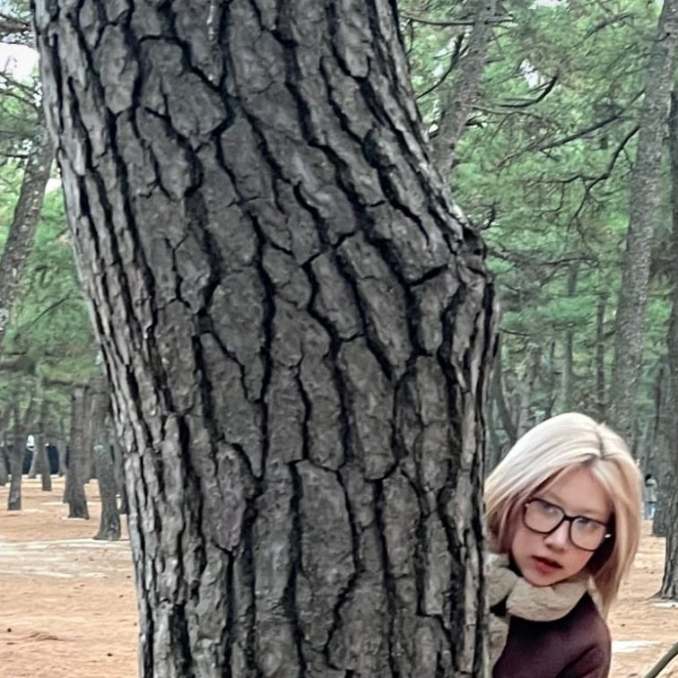 연어(정숙이) tweet media