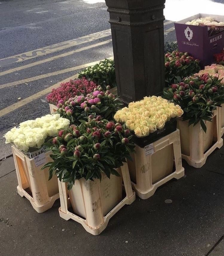 artindetails's tweet image. solo date