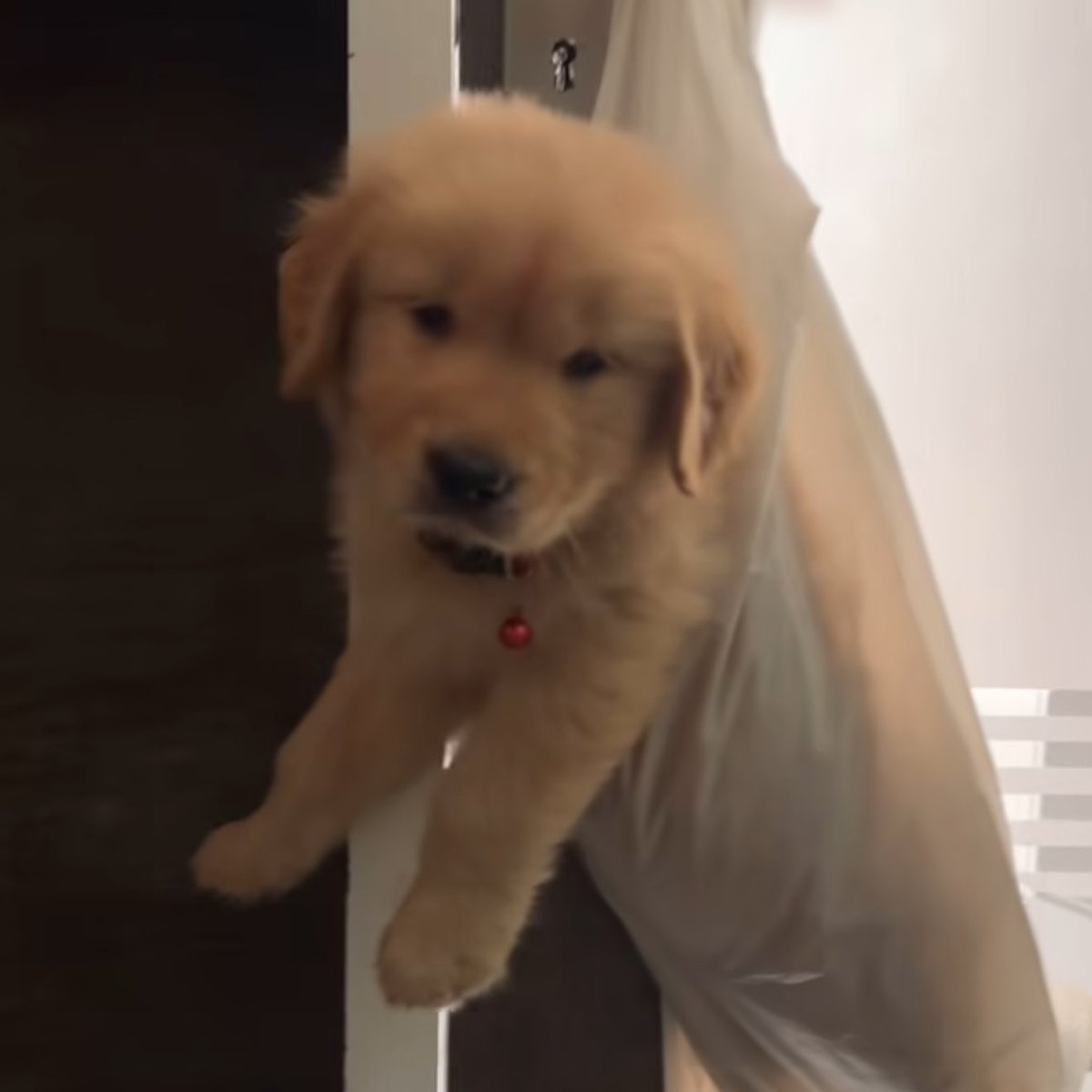 เปิดประตุหน่อยค่าบ มีม๋ามาส่ง 🥺