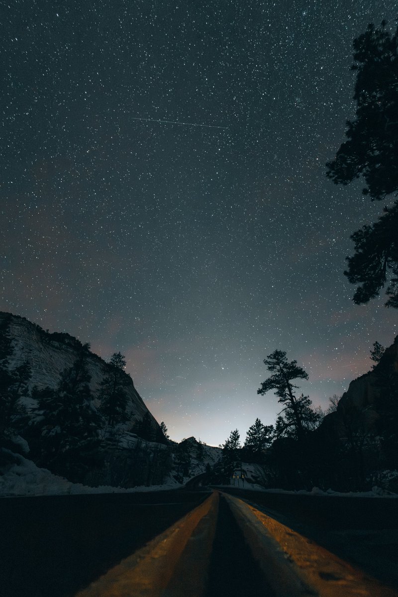 ✨