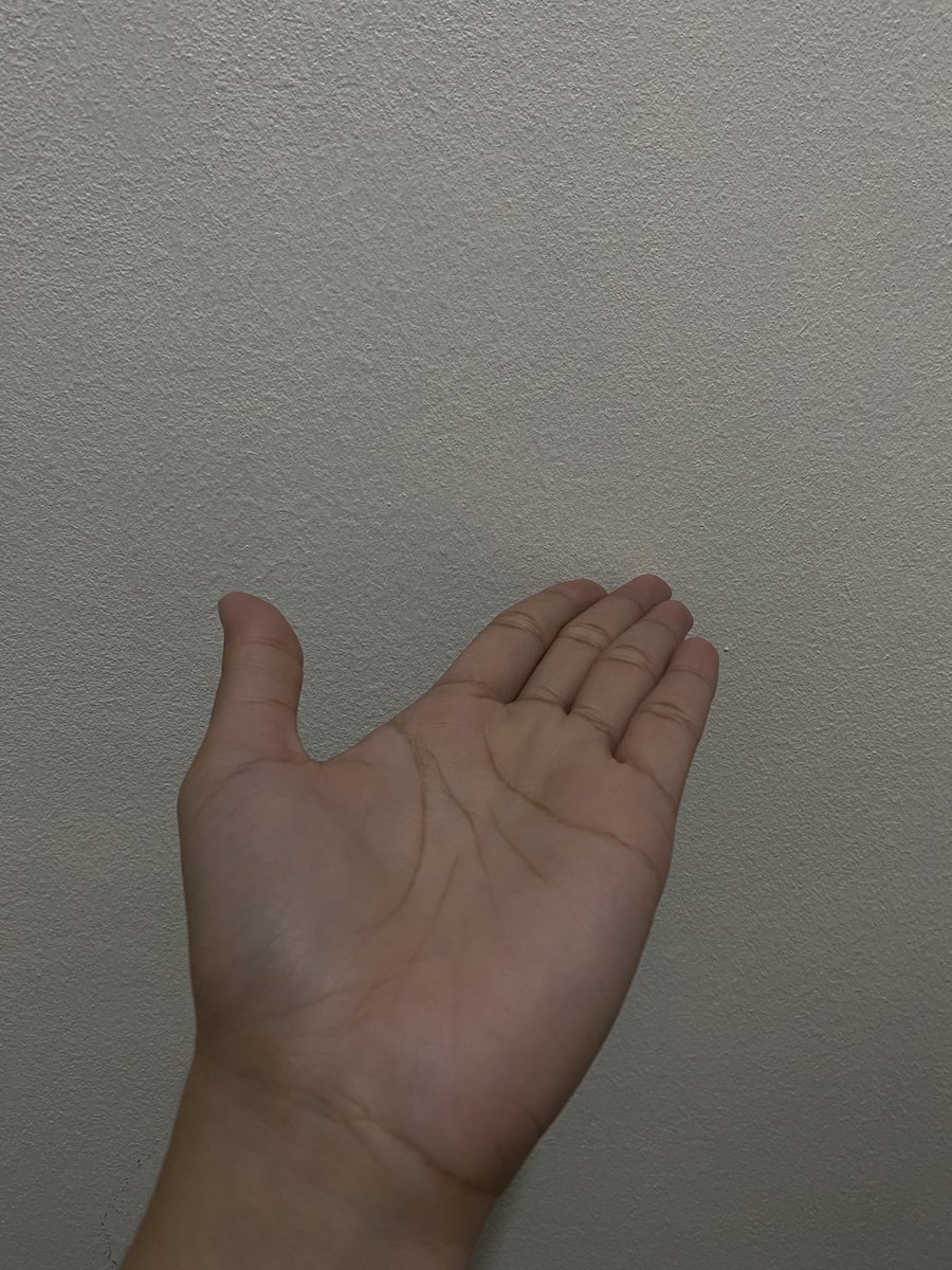 elle (Shi Yan’s 🦁) tweet media