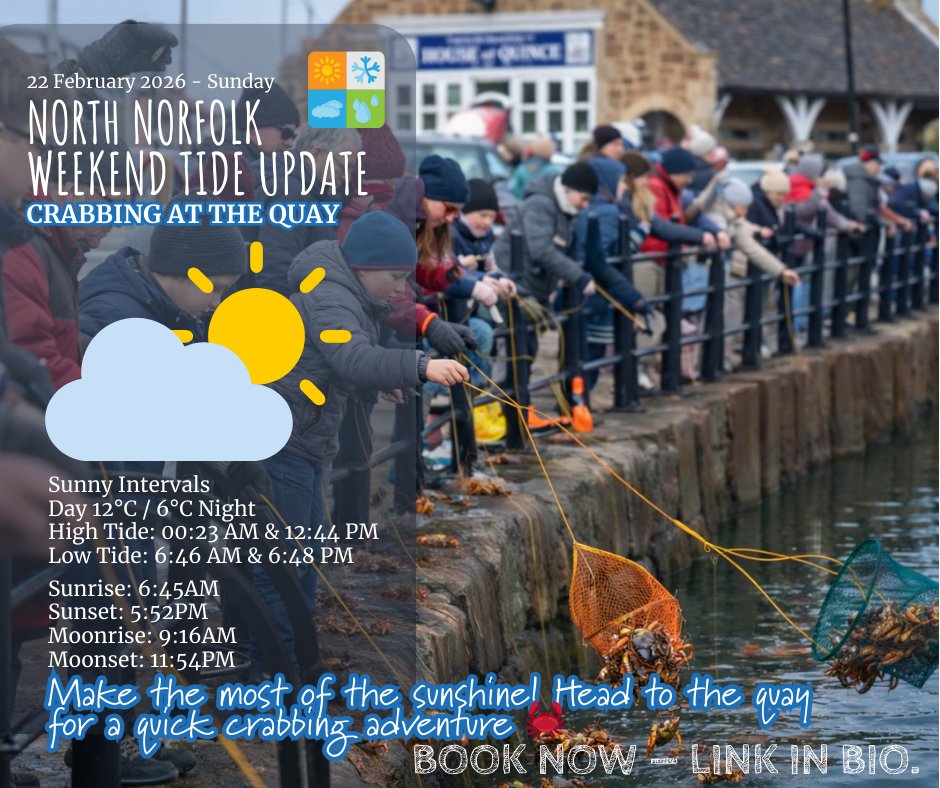 mYminiBreak tweet media