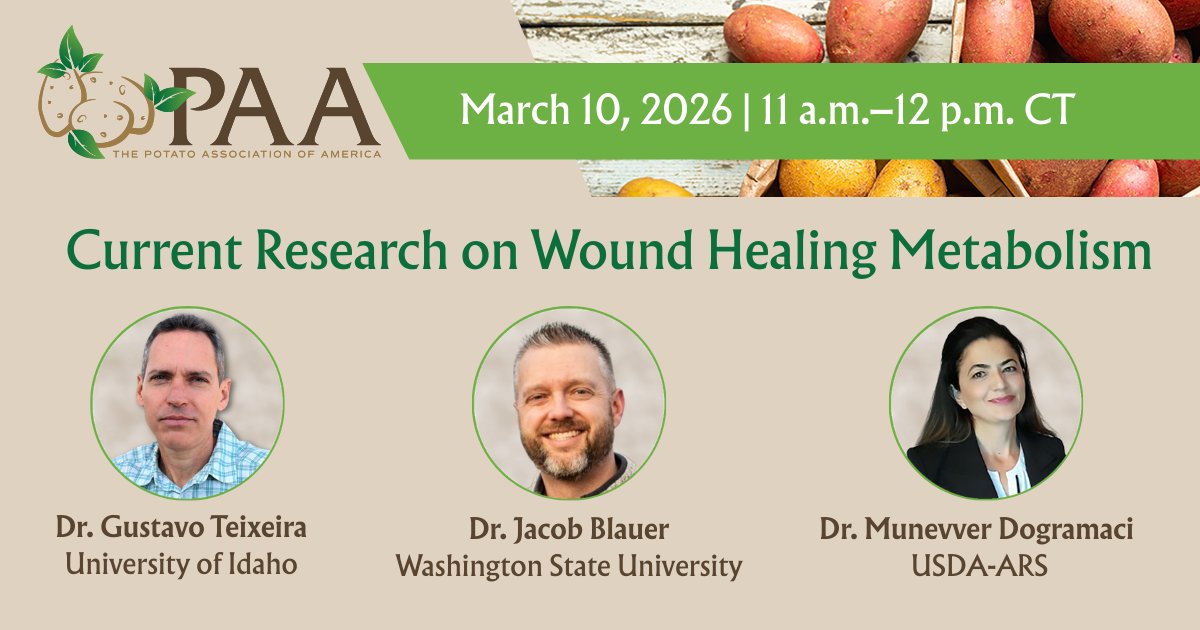 Potato Association tweet media