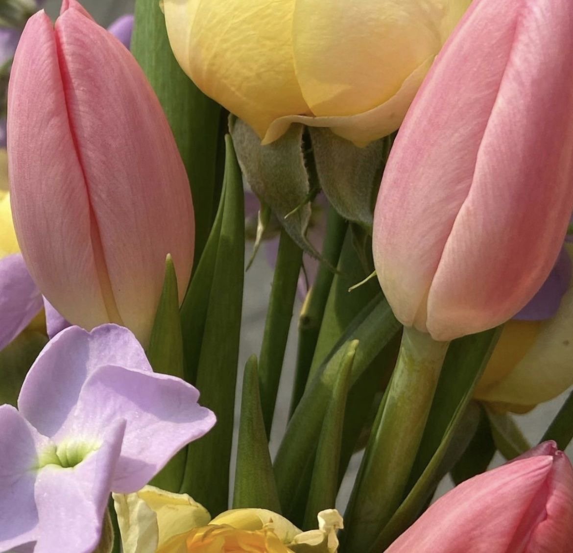 surround yourself with flowers