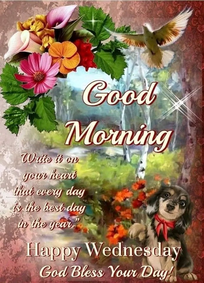 José. Alberto Villacorta. Bolaños tweet media