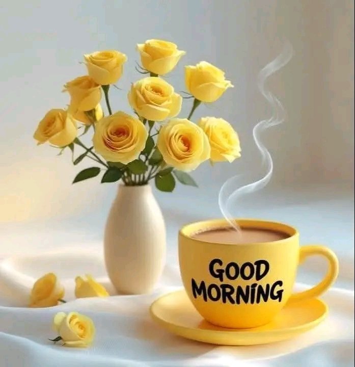 José. Alberto Villacorta. Bolaños tweet media