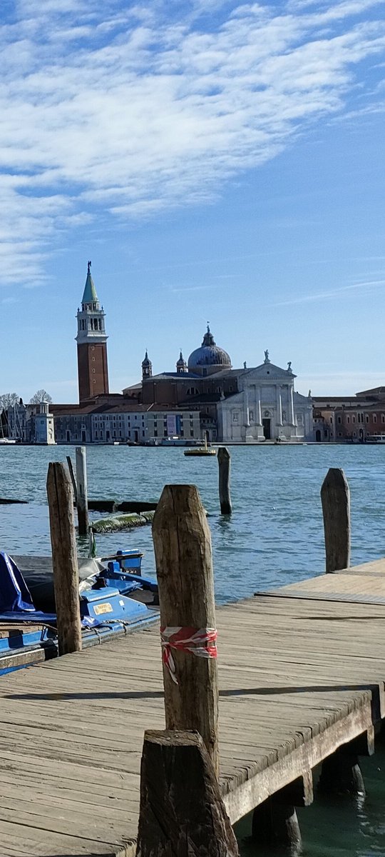 もなか🦌 tweet media