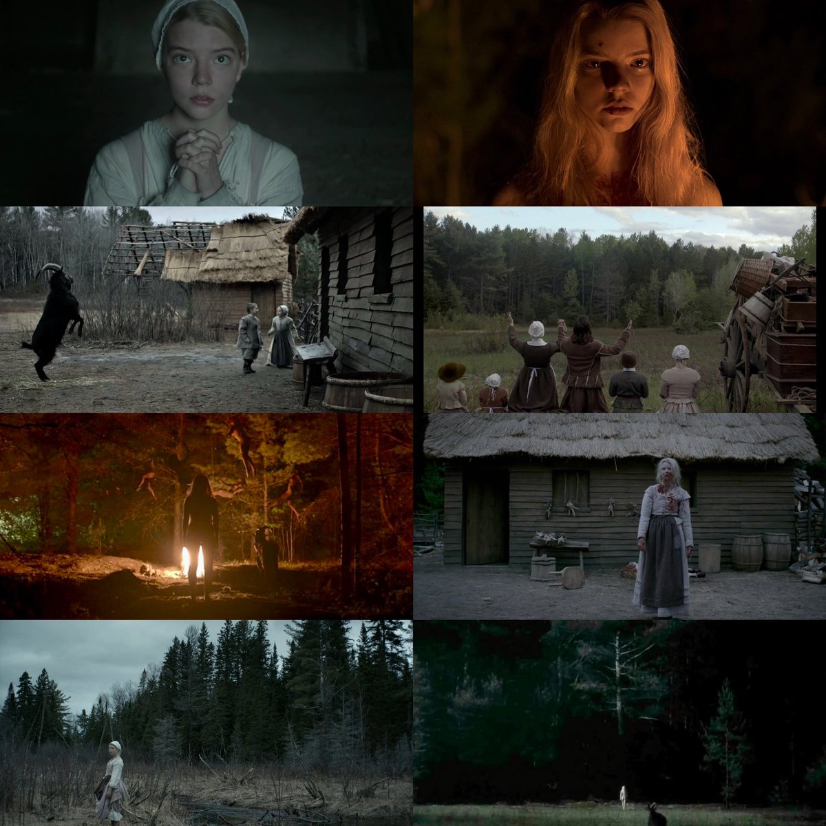 “Wouldst thou like to live deliciously?” Robert Eggers’ THE WITCH was released today in 2015
